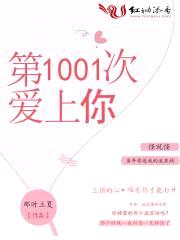 第1001次爱上你